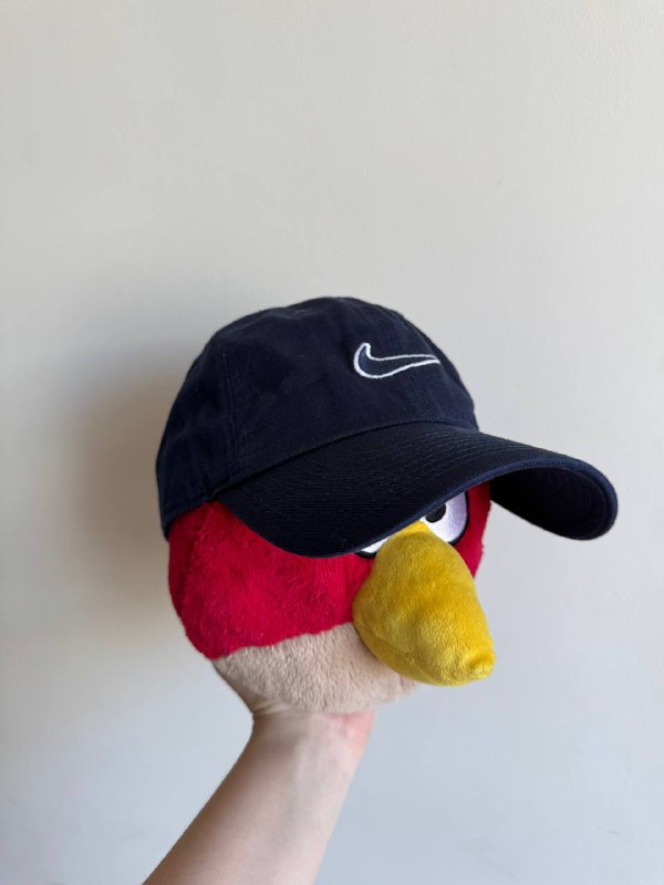 Шорты Oakley, Endura, Carhartt, Майка Alpha Industries, Штаны The North Face, Футболка Napapijri, Кепки Ferrari, Nike, Мессенджер Dickies 9
