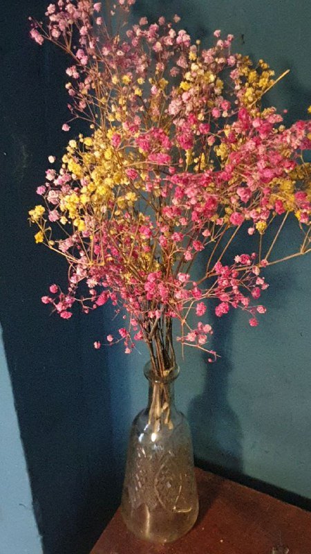 красивая бутылочка 0,5 л 2