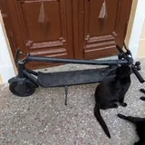 Два самоката 10