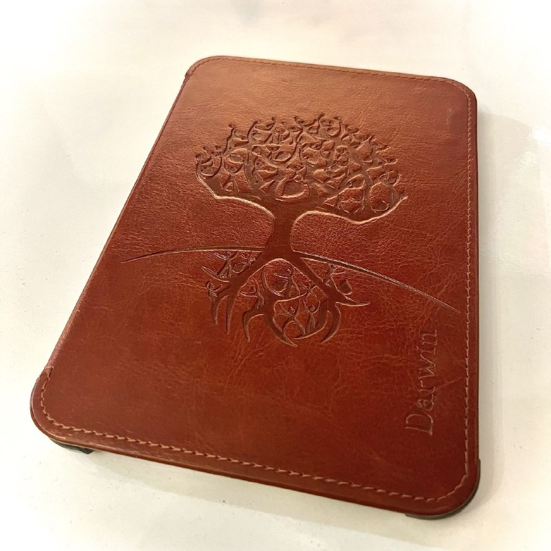 Электронная книга Onyx Boox C67ml Darwin