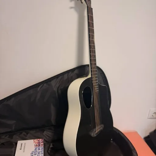 Гитара Donner Rising-G Pro Carbon