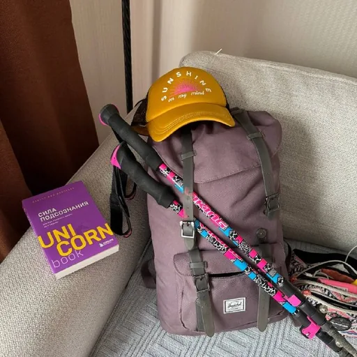 Рюкзак Herschel