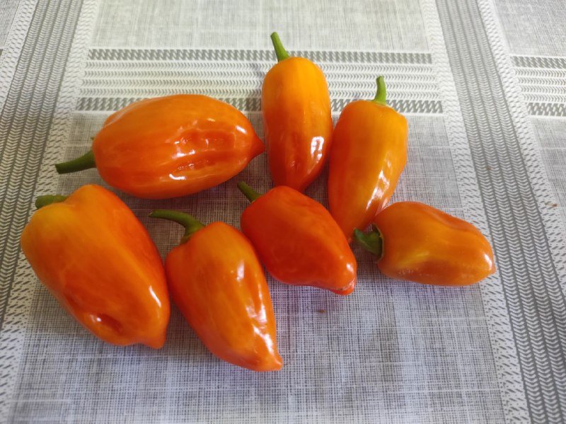 Перцы хабанеро оранжевые 2 шт.