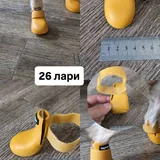 Обувь и носочки для собаки 5