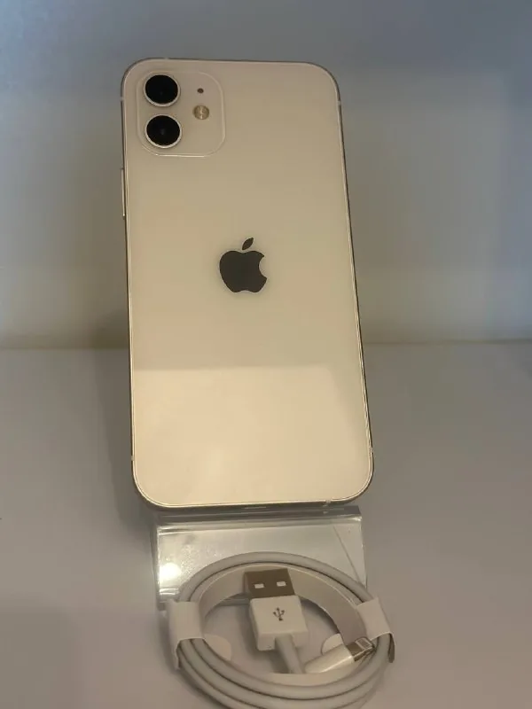 iPhone 12 1