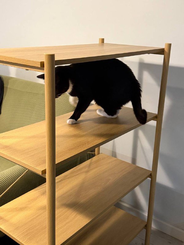 Стеллаж полка Jysk LINDVED 4 shelves oak colour