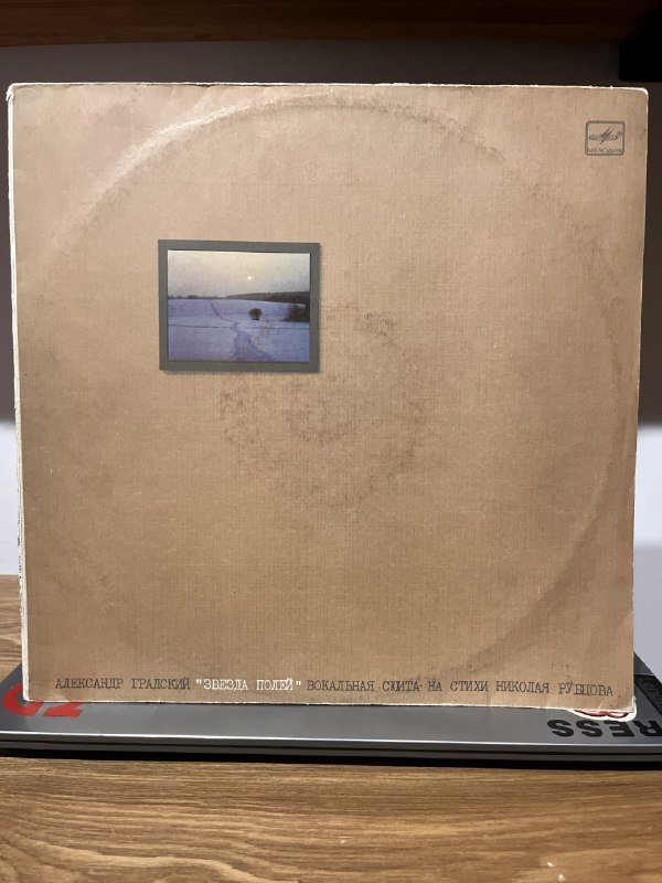 Виниловые музыкальные пластинки, коллекция