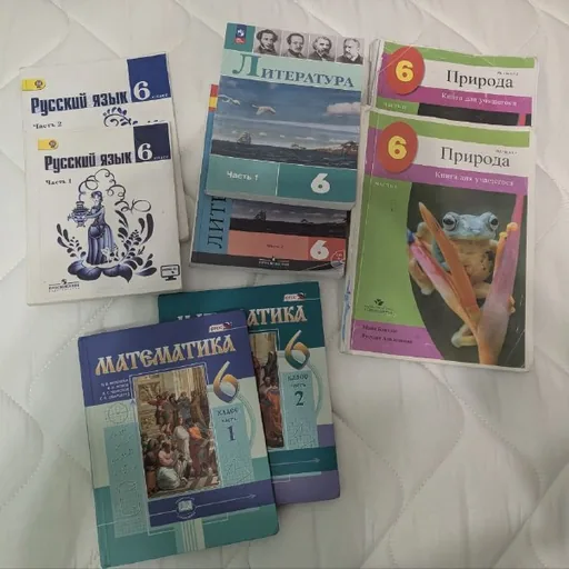Учебники 6 класс, математика, русский язык, литература, природа