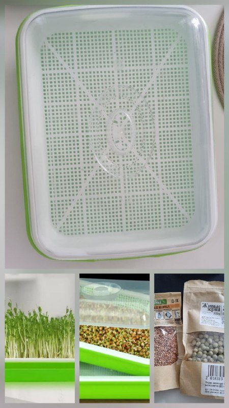 Проращиватель семян, тепловаентилятор, зарядка, паяльник, самокат, спасжилеты, гермомешок 1