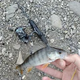 Spinning rod with two tips 8