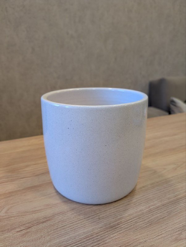 Замиокулькас растение, керамическое кашпо 3