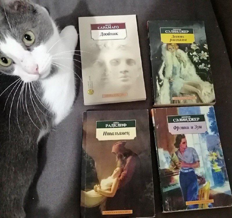 Книги на русском и английском разных авторов 2