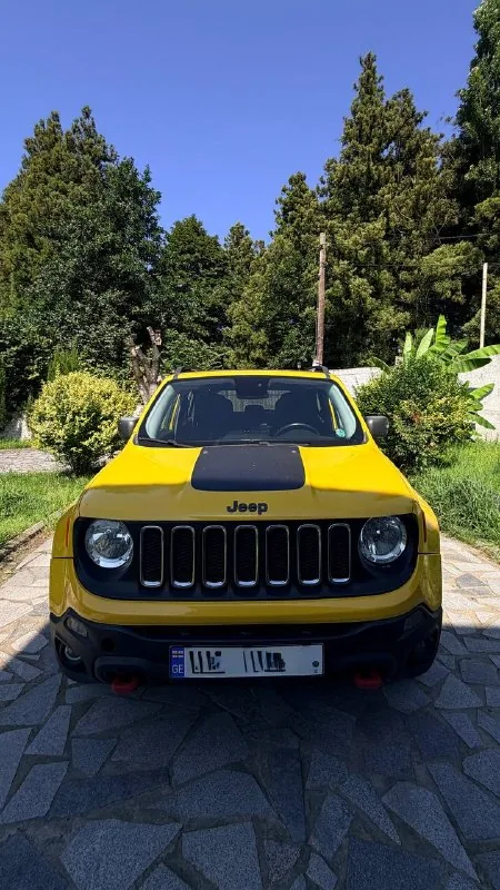 Jeep Renegade Trailhawk 2016 1