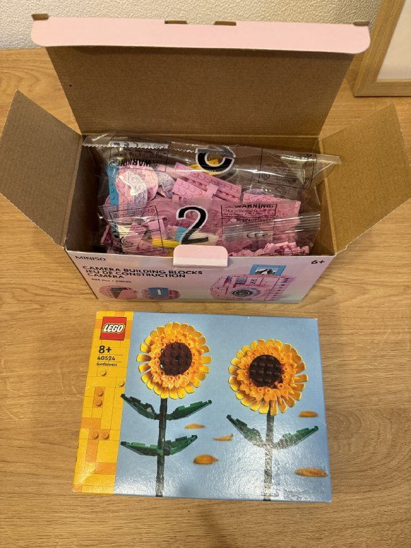 2 новых конструктора LEGO наборы подсолнух и камера 2