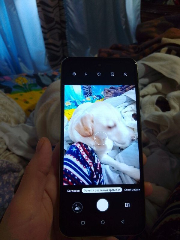 Новый смартфон DOYDA Model E66 4G 2