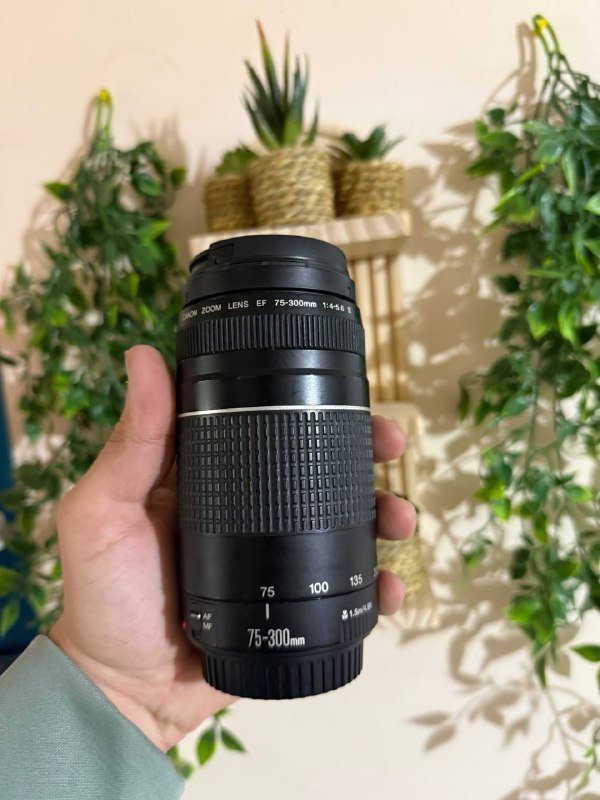 Canon lenses 55-250mm, 75-300mm, 18-55mm 2