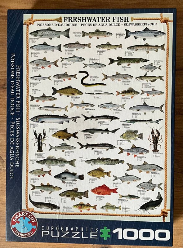 Пазлы 1000, 3000 и деревянные 600 деталей 2