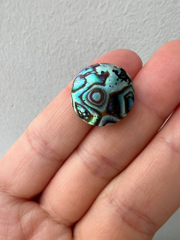 Набор украшений из ракушки сережки и кулон 2