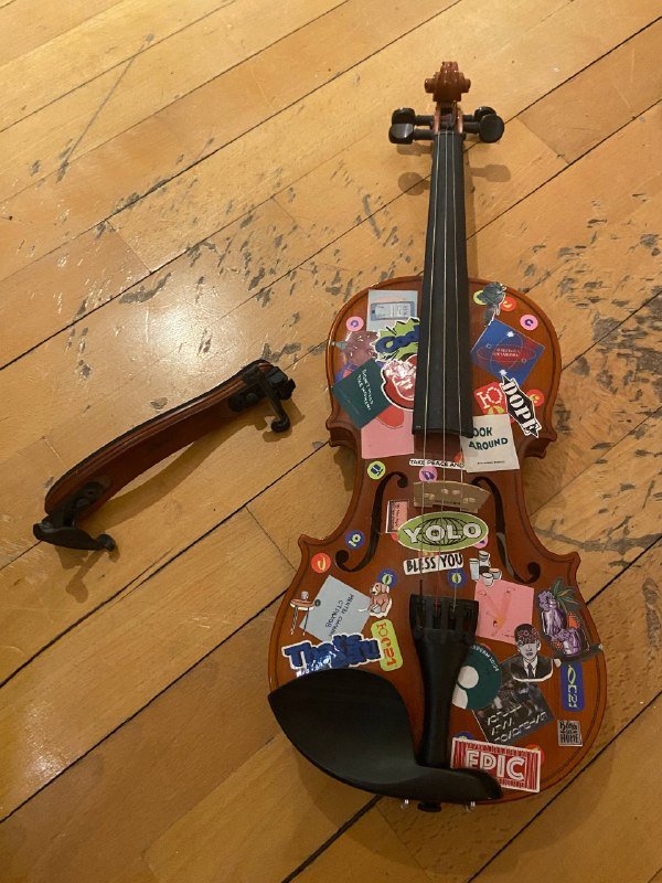 Скрипка DRESDEN