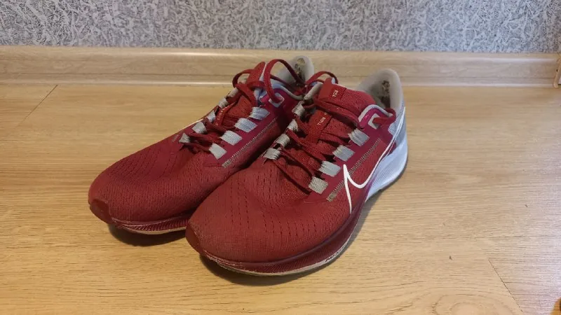 Nike Air Zoom Pegasus 38 кроссовки 1