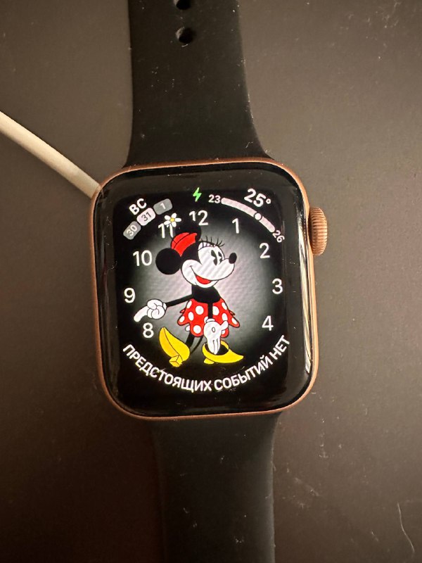 Apple Watch SE 40mm бронзовые 2