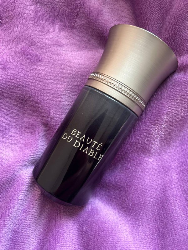 Нишевый парфюм Beaute du Diable 100 мл