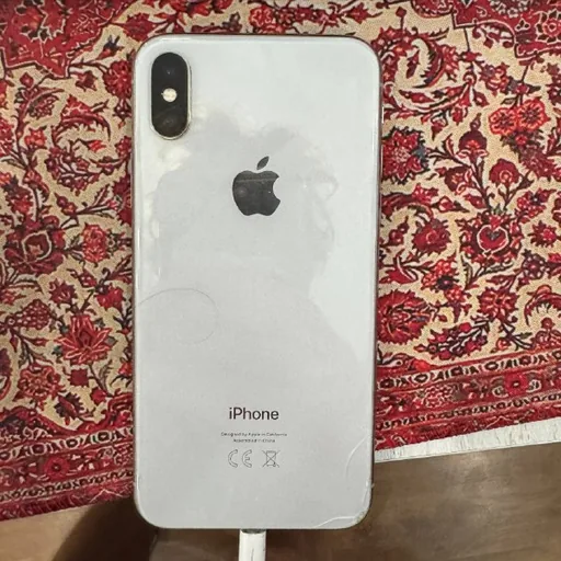 iPhone X