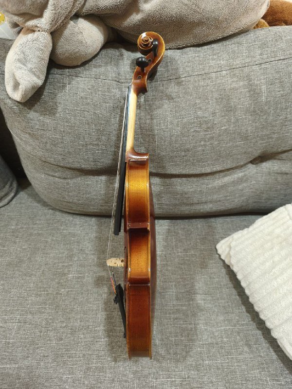 Скрипка Roth & Junius RJV-S Student Violin Set 4/4 с футляром 4