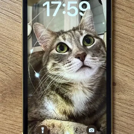 iPhone 11 128 ГБ
