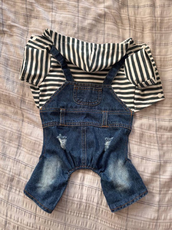 свитшот лягушка, безрукавка джинсовая, комбинезон джинсовый для собак 5