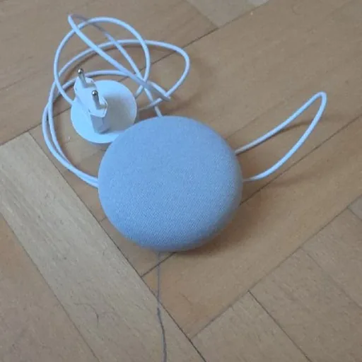 Google Nest Mini