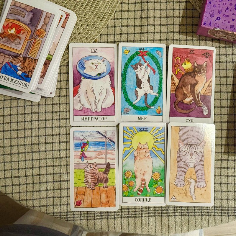 Таро котиков карточная игра 3