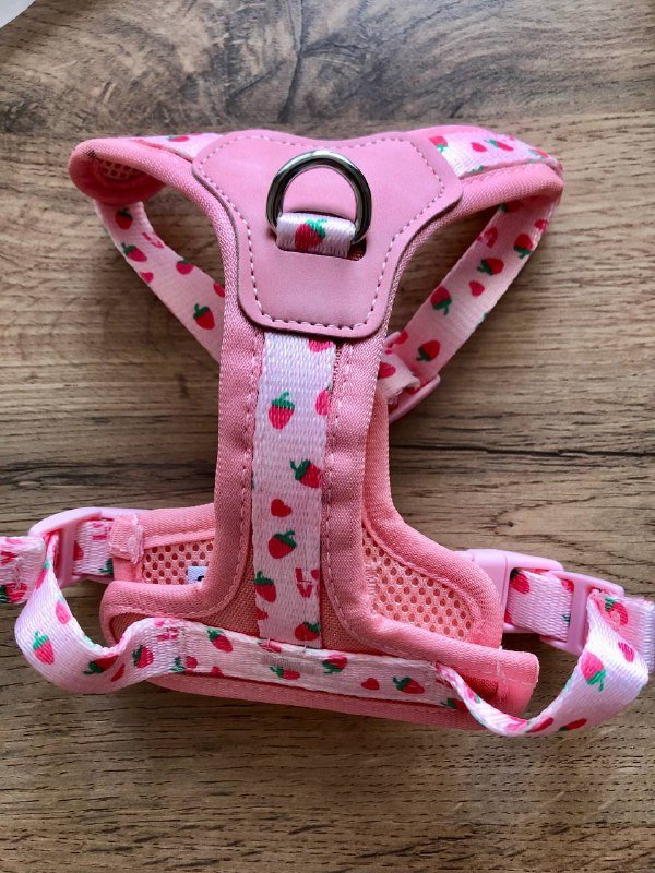 Монстера манки, 2 книги, шлейка для собаки, платье Mango, бюст, ароматизатор, венок, фигурки 4