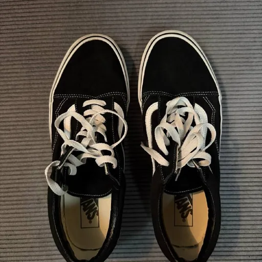 Vans Old Skool Shoes, EU 45