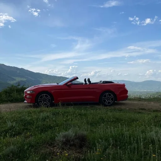 Трансфер, прогулка по городу на Mustang