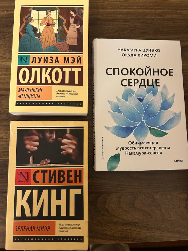 Книги Луиза Мэй Олкотт, Стивен Кинг, Накэмура Цунэко
