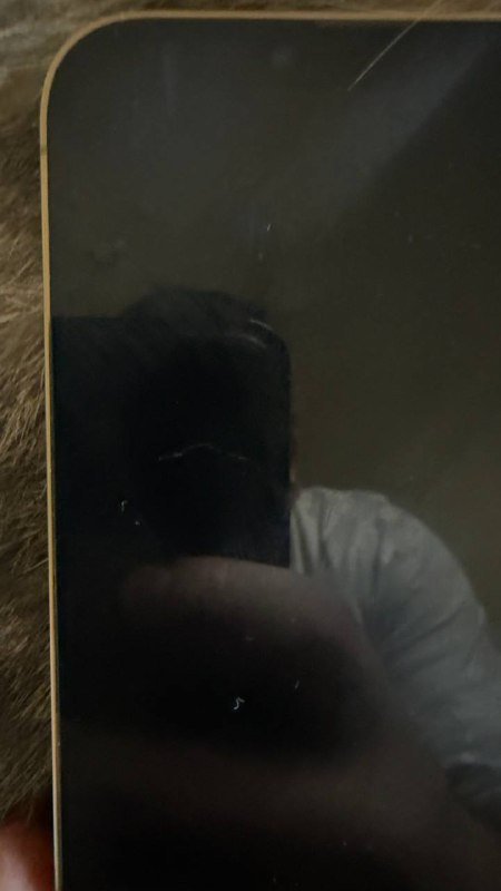 iPhone 13 Pro Max 256 Гб Золото 3