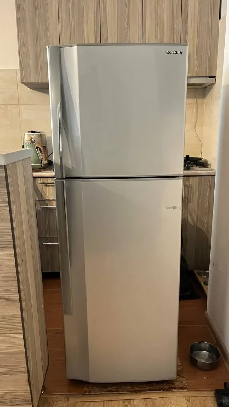 Двухкамерный холодильник Toshiba 1