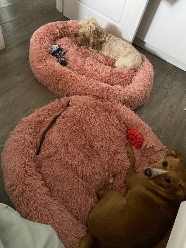 Лежаночки для собак и кошек разного размера 5