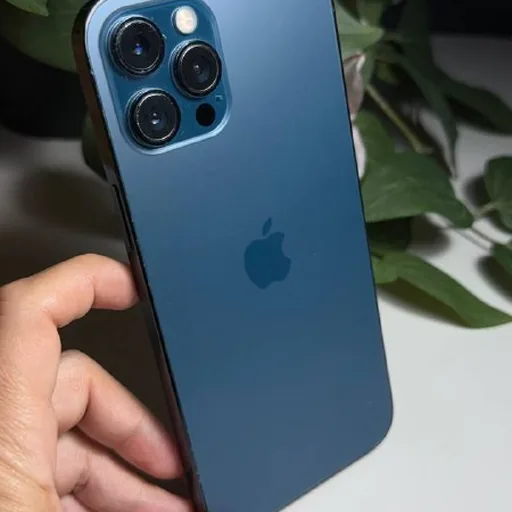 iPhone 12 Pro Max 256GB