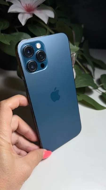 iPhone 12 Pro Max 256GB 1