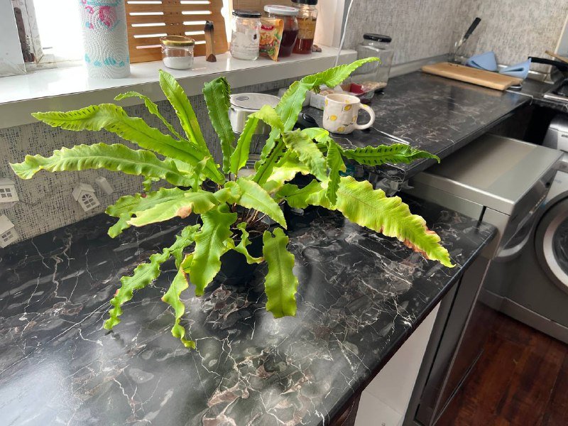 велосипед детский, колеса 20 6