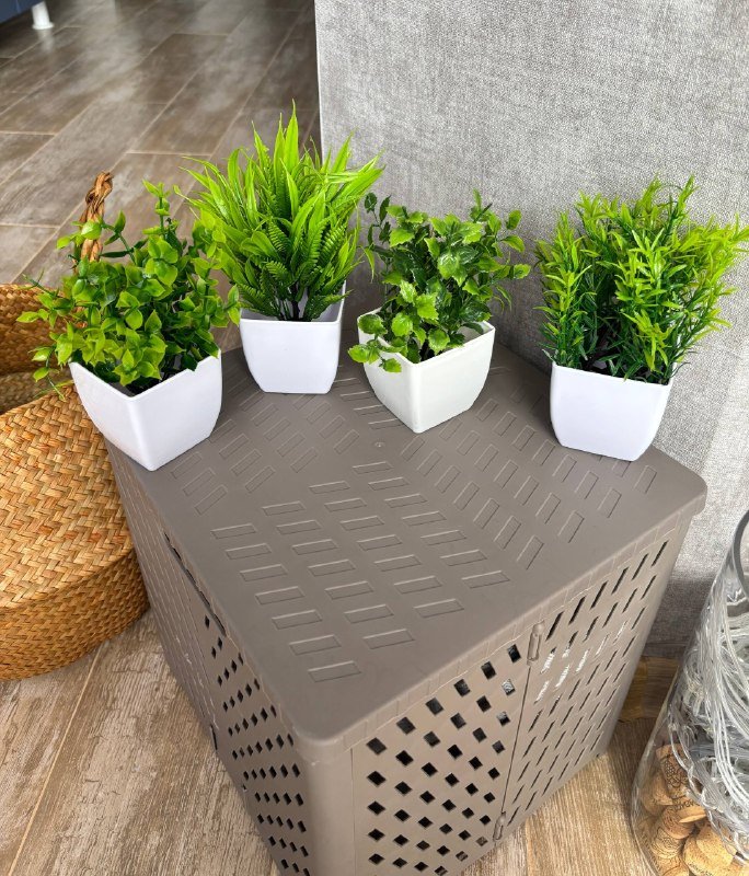 Искусственные суккуленты в горшочках