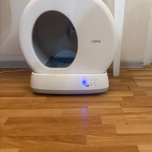Кошачий туалет