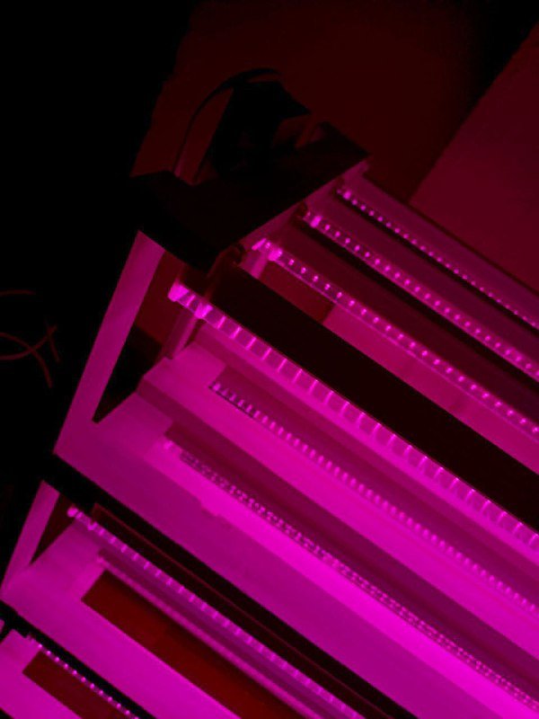 Неоновая полка с фитолампами ручной работы 7