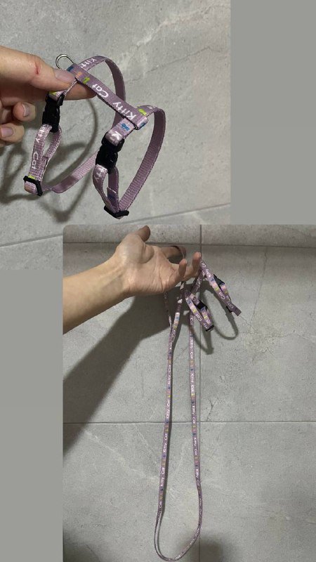 Шлейка для котенка