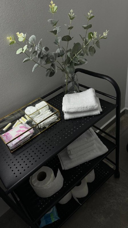 Продаётся полностью оборудованная студия в Сабуртало 7