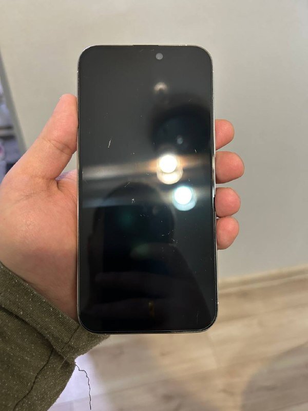 IPhone 15 Pro Max 256 GB 3