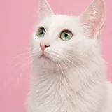 Юна ищет дом 2