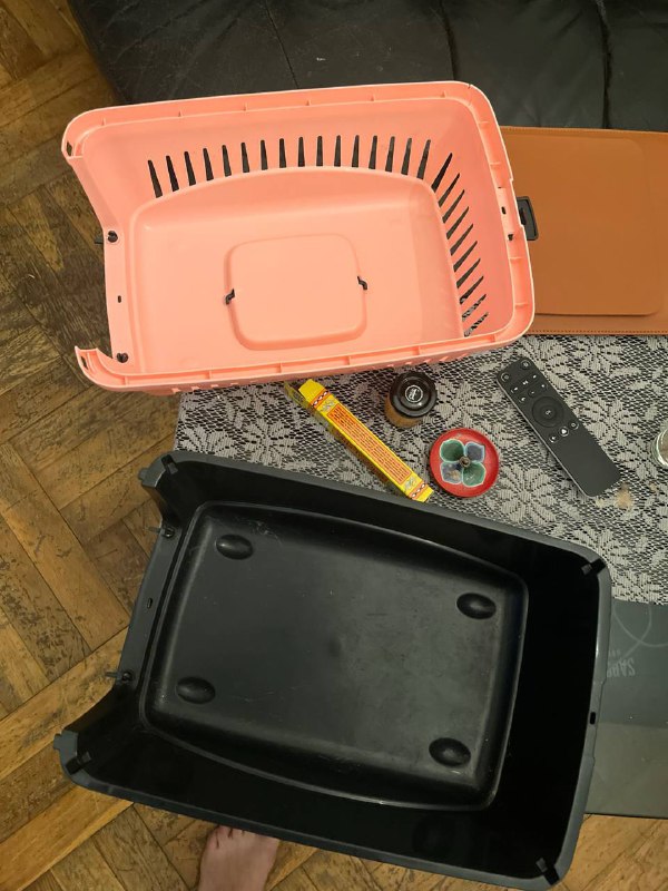 Переноска для кошки для самолета 4